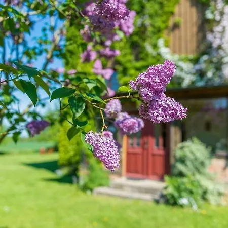 Ferienhaus Rosenhagen In The Estate Barn *