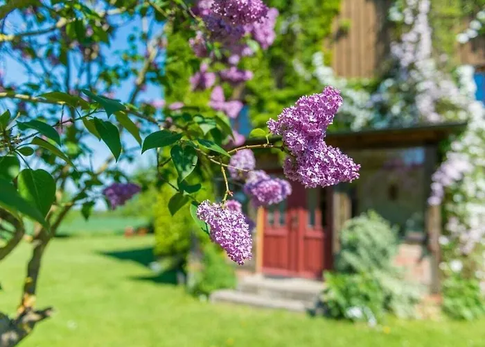 Ferienhaus Rosenhagen In The Estate Barn *