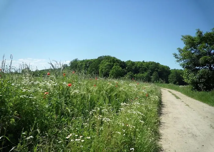 Rosenhagen In The Estate Barn Thorstorf