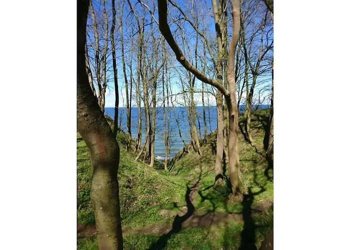 Ferienhaus Rosenhagen In The Estate Barn